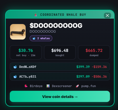 Coordinated whale buy alert card — coin, whale count, net buy, amount bought vs dumped, and the top wallets